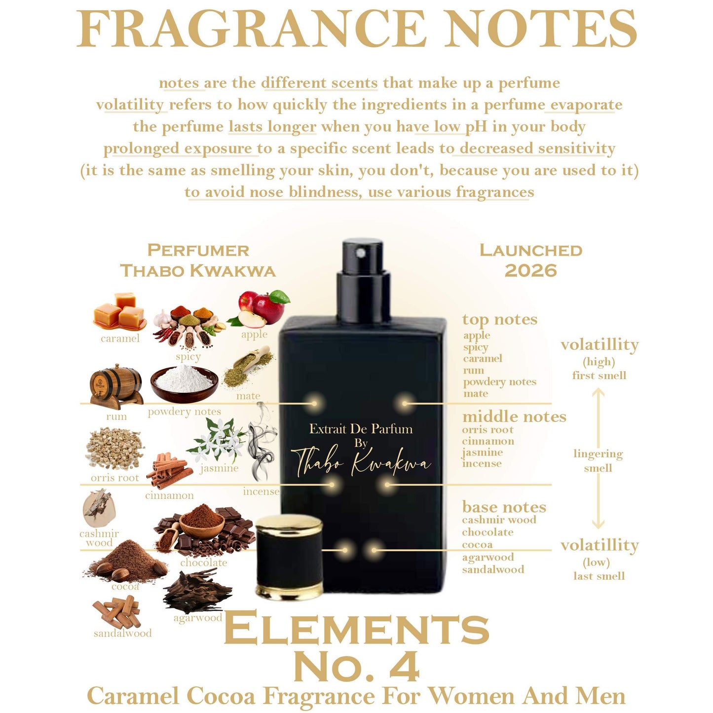 Elements Range - Square Bottle - Unisex +FREE SINGLE GIFT BOX
