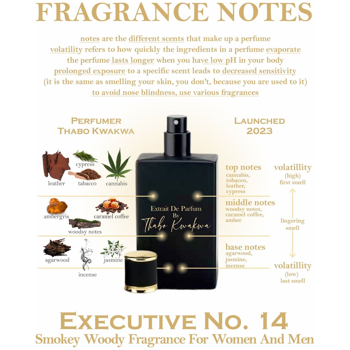 Executive 14 - Square Bottle - 50ml - Unisex
