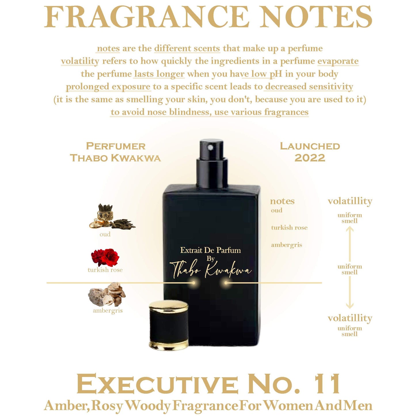 Executive 11 - Square Bottle - Unisex