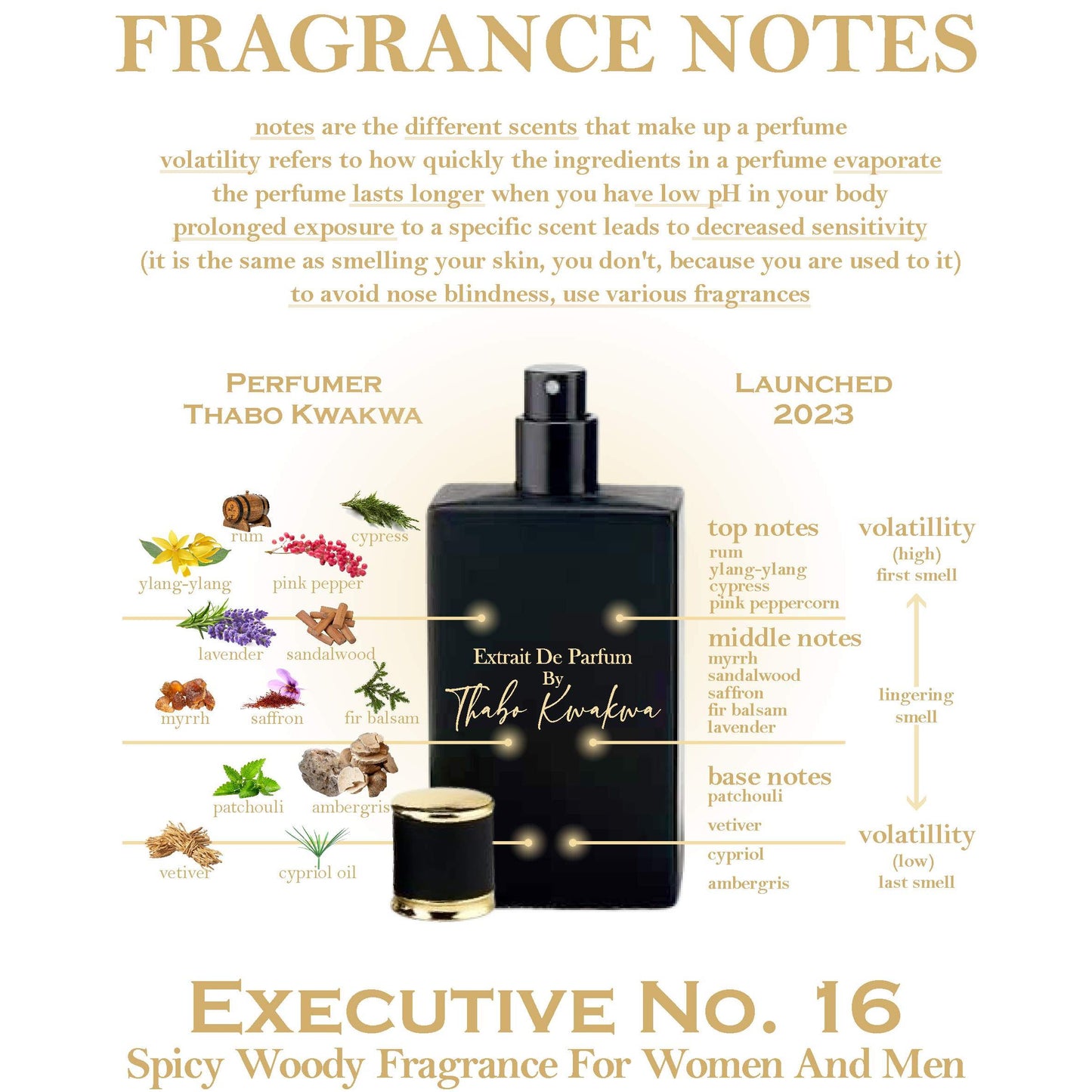 Executive 16 - Square Bottle - Unisex