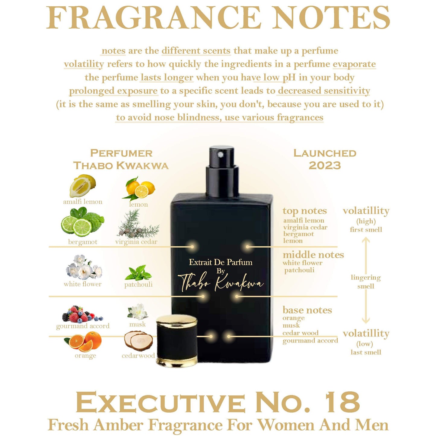 Executive 18 - Square Bottle - Unisex