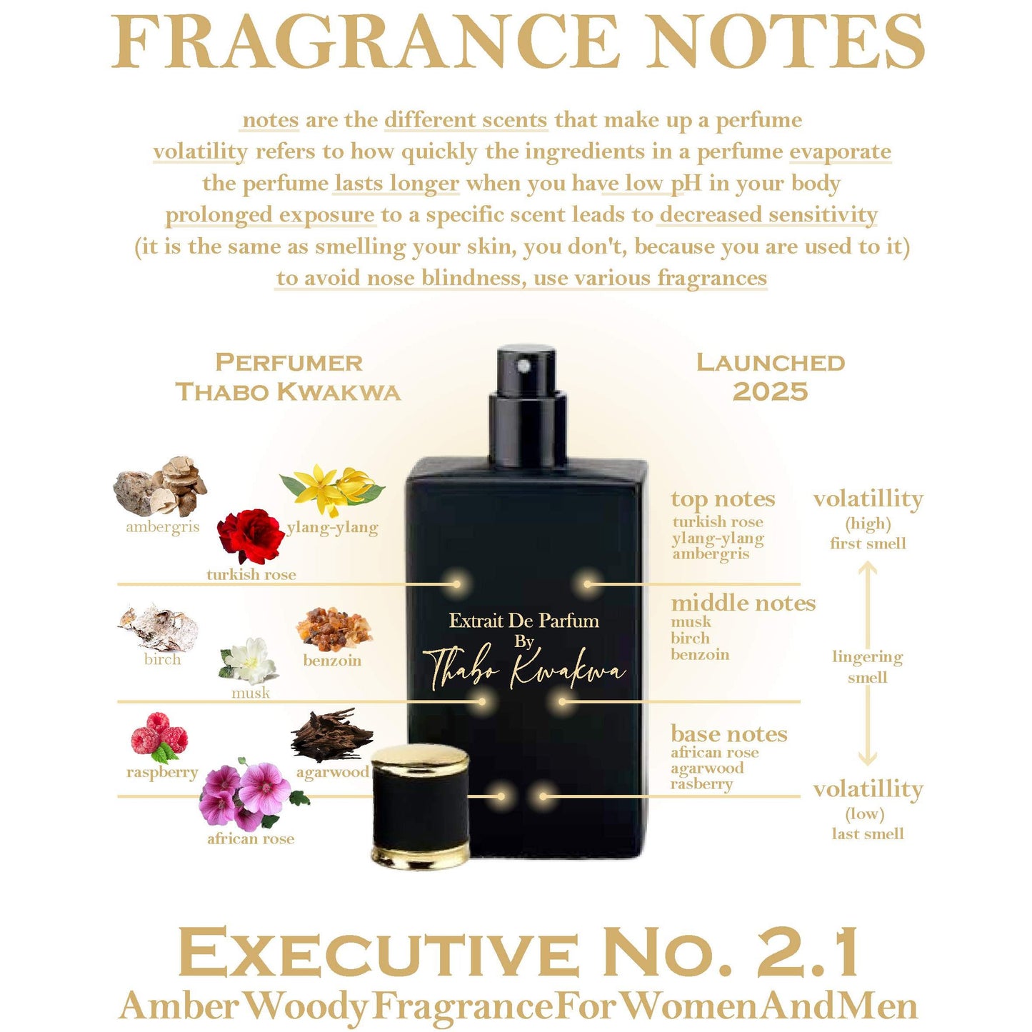 Executive 2.1 - Square Bottle - Unisex