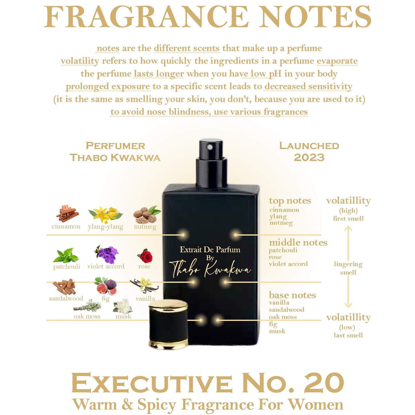 Executive 20 - Square Bottle - Female