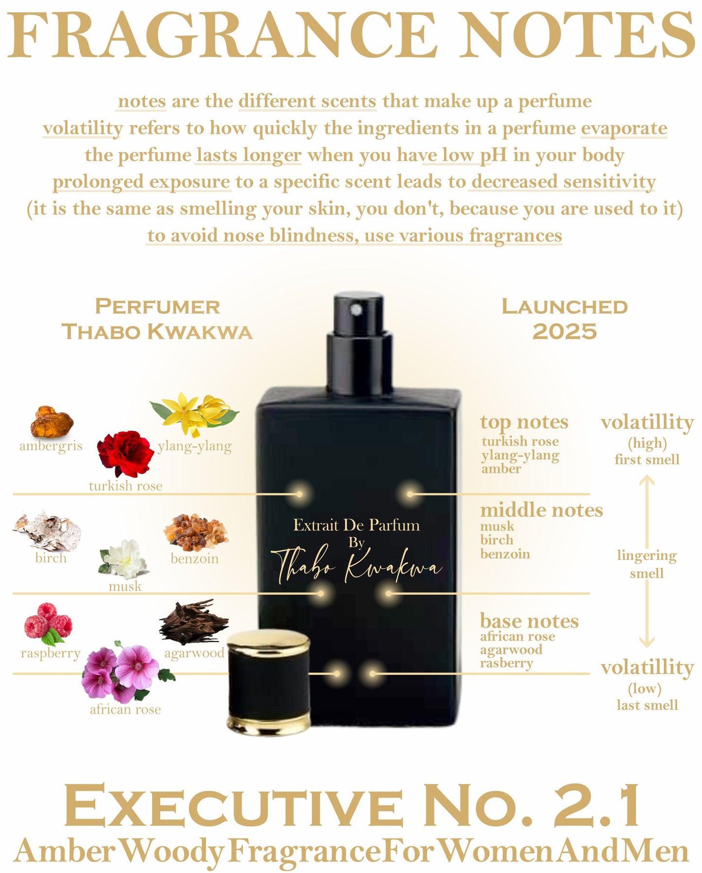 Executive 2.1 - Square Bottle - 50ml - Unisex