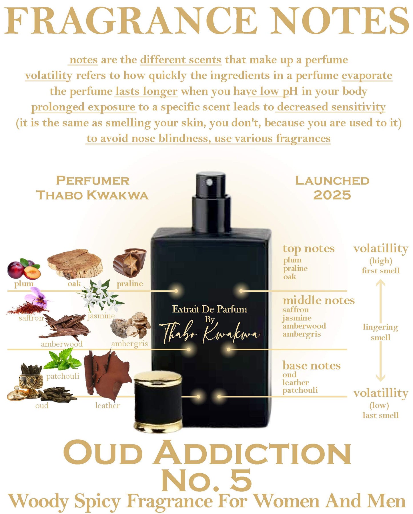 Oud Lover Range - Square Bottle