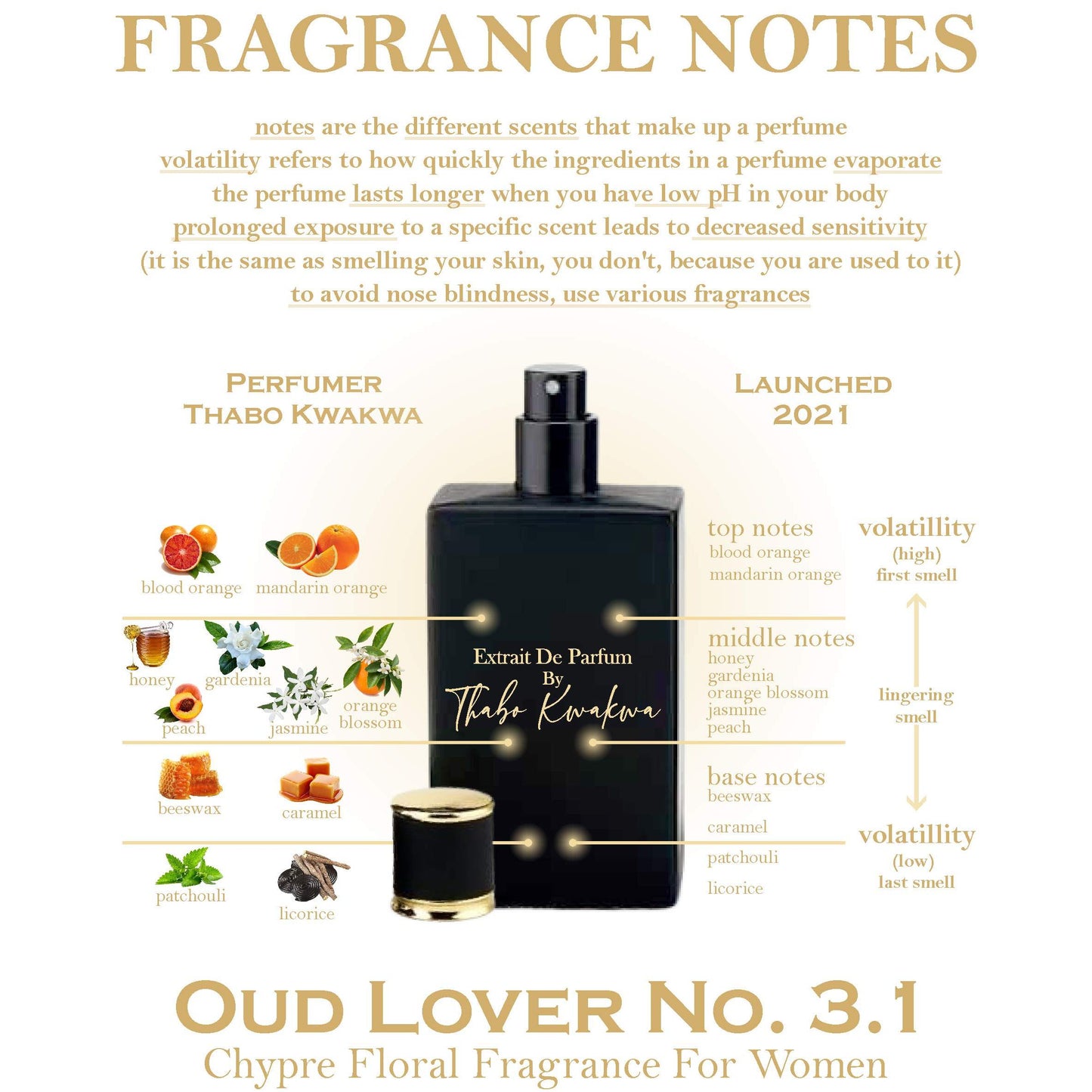 Oud Lover 3.1 - Square Bottle - Female