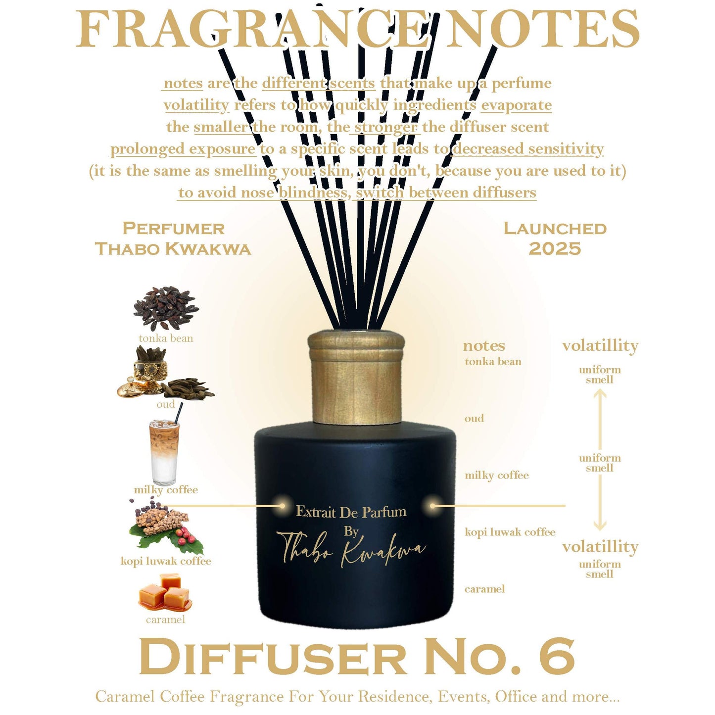 Diffuser 6 - 200ml - Caramel Coffee BLACK FRIDAY SALE 2025