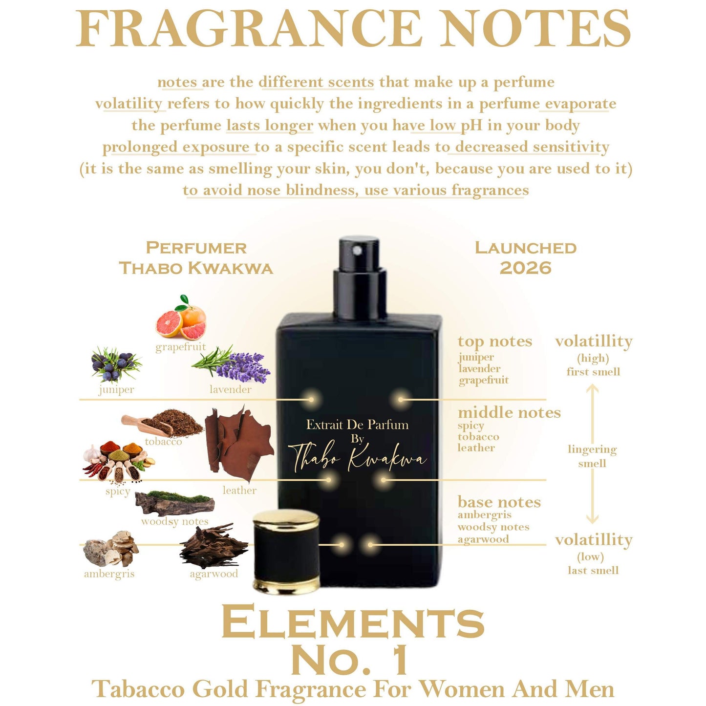 Elements Range - Square Bottle - Unisex +FREE SINGLE GIFT BOX