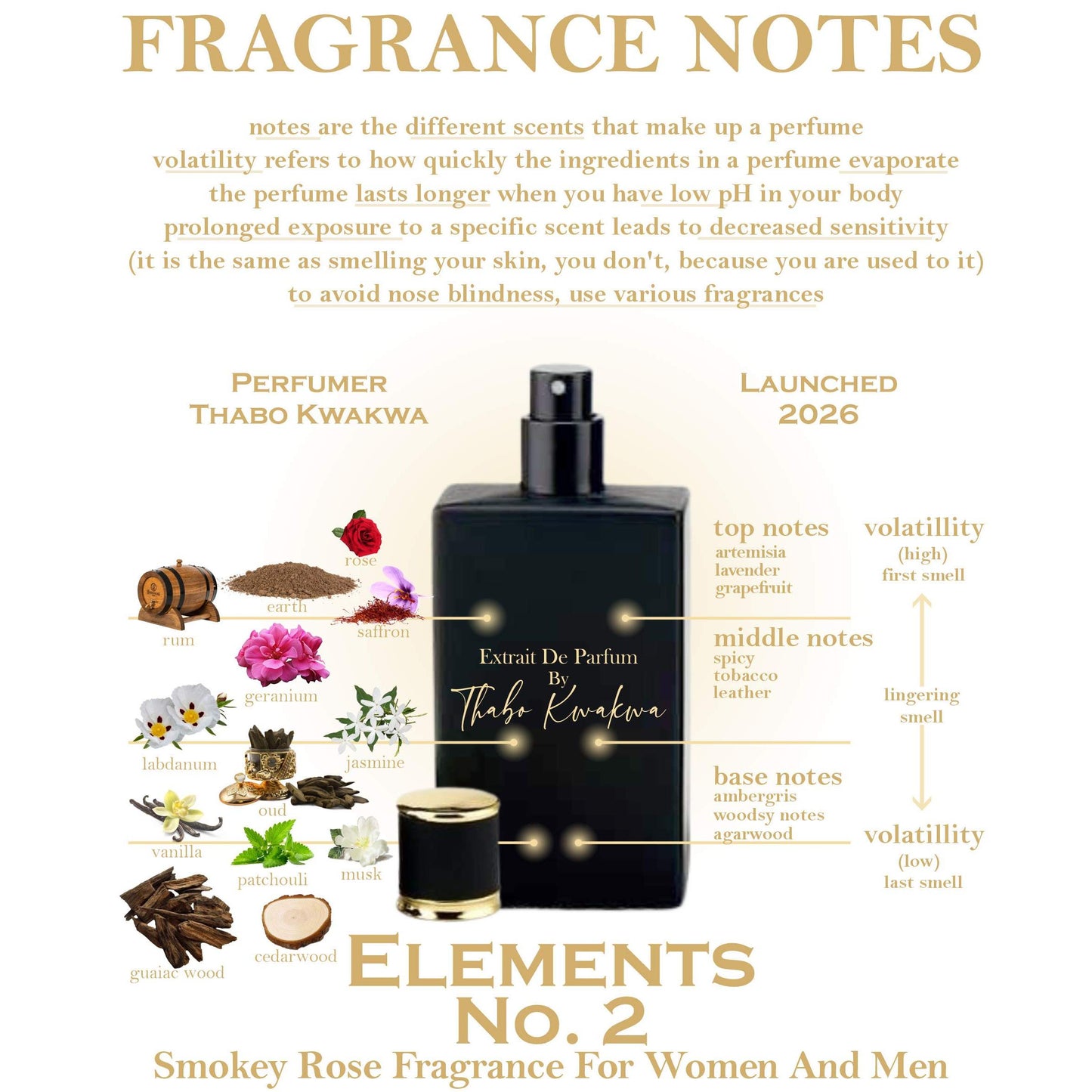 Elements Range - Square Bottle - Unisex +FREE SINGLE GIFT BOX