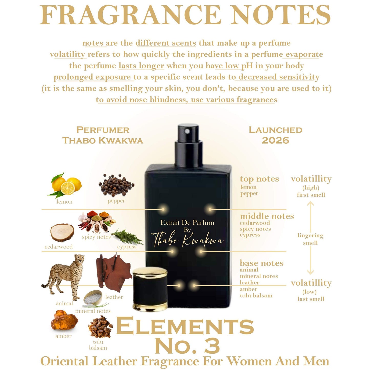 Elements Range - Square Bottle - Unisex +FREE SINGLE GIFT BOX