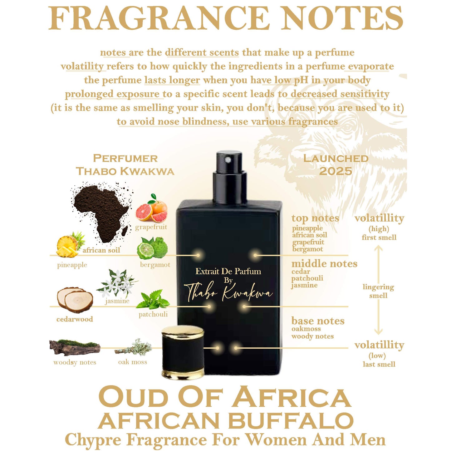 Oud Of Africa - BUFFALO 50ml