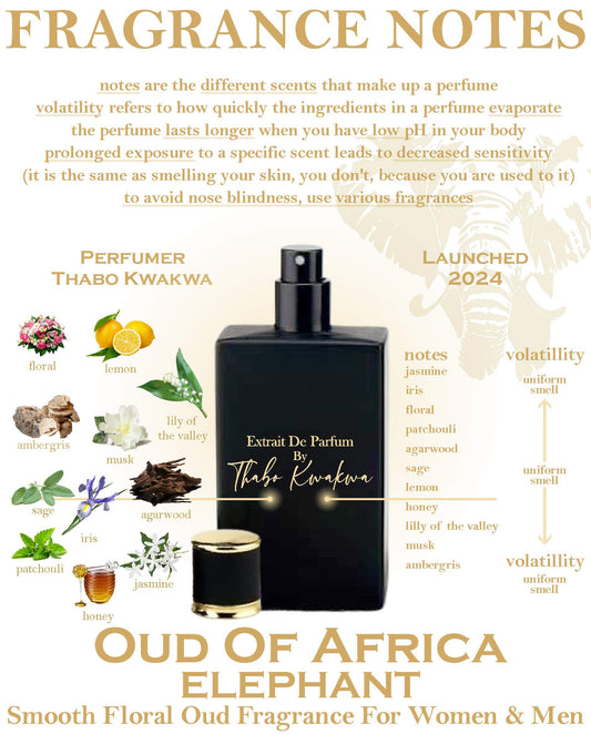 Oud Of Africa - Elephant 50ml