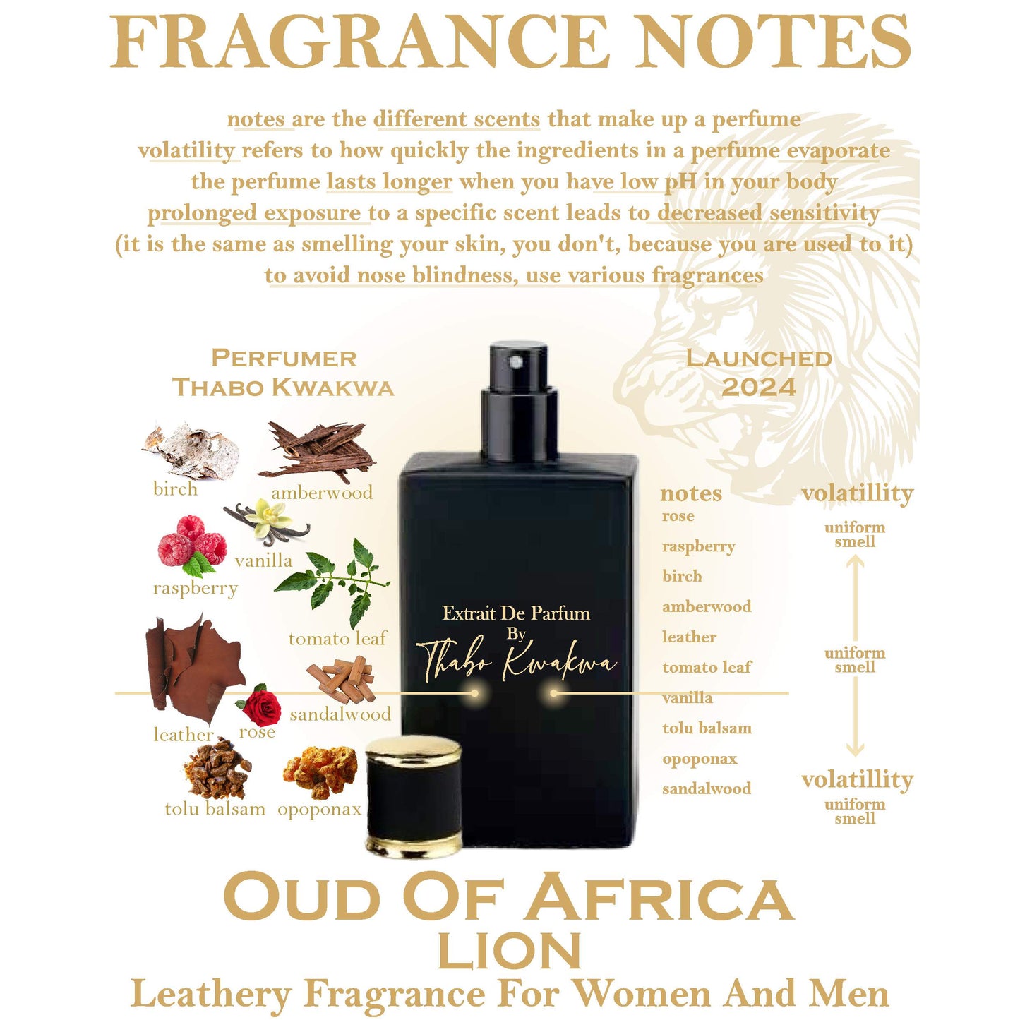 Oud Of Africa - Lion 50ml