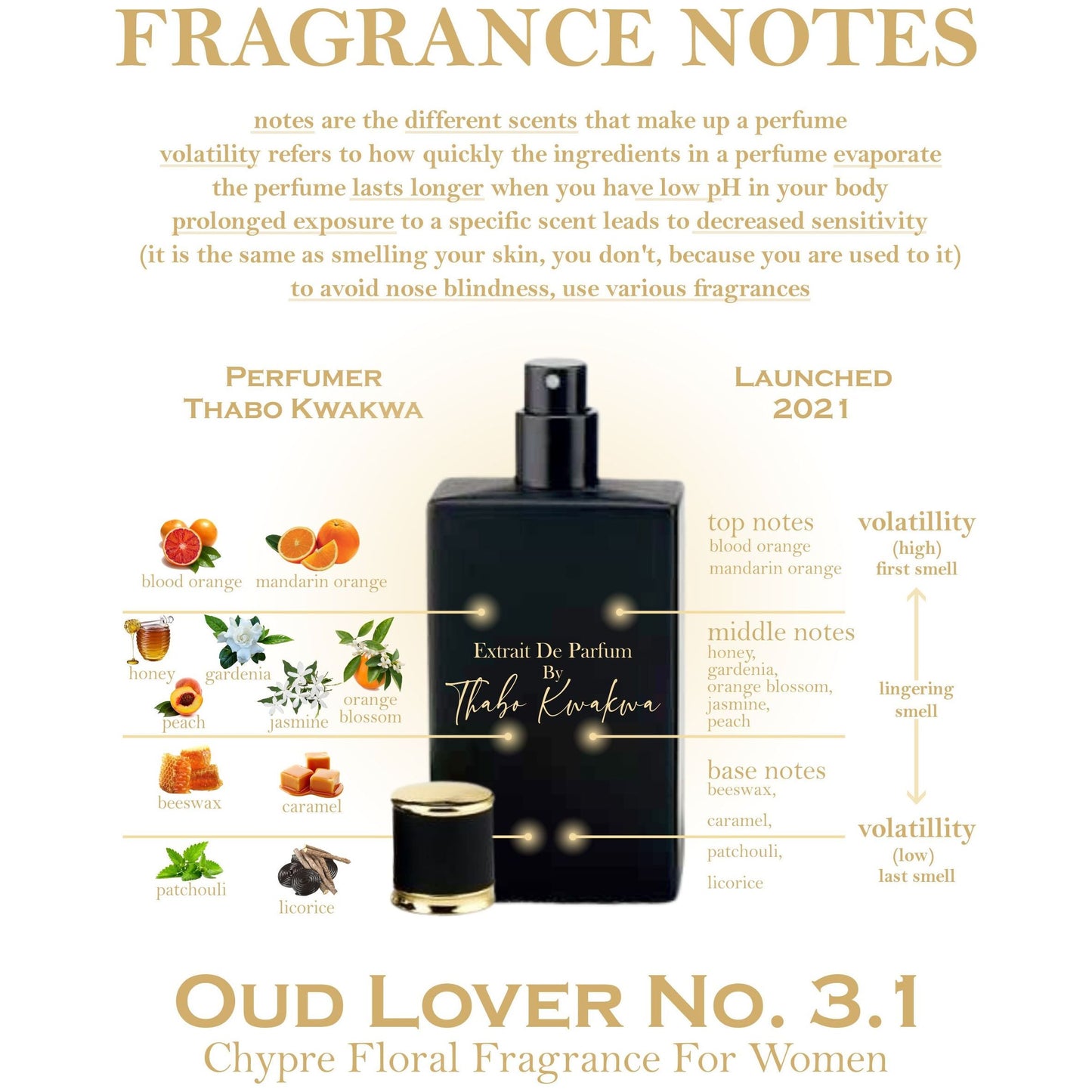 Oud Lover 3.1 - Square Bottle - 100ml - Female